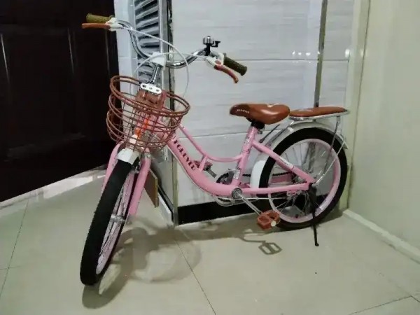 7454.jpg